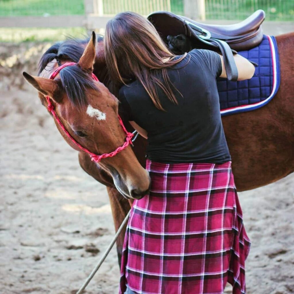 montura de caballo alwina amurawski