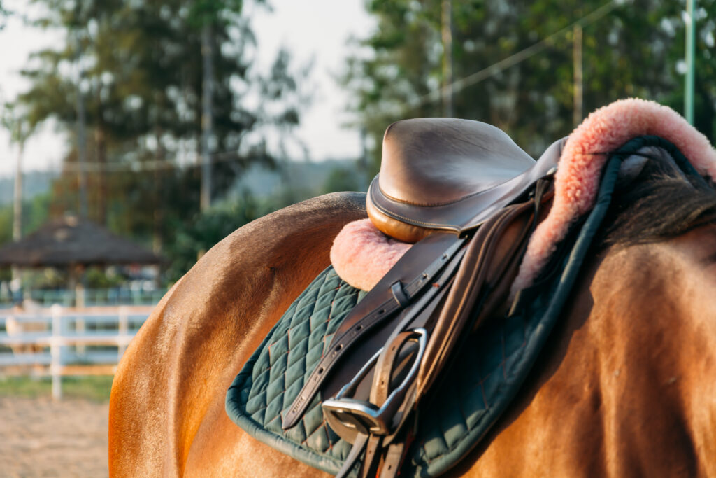 monturas para caballos