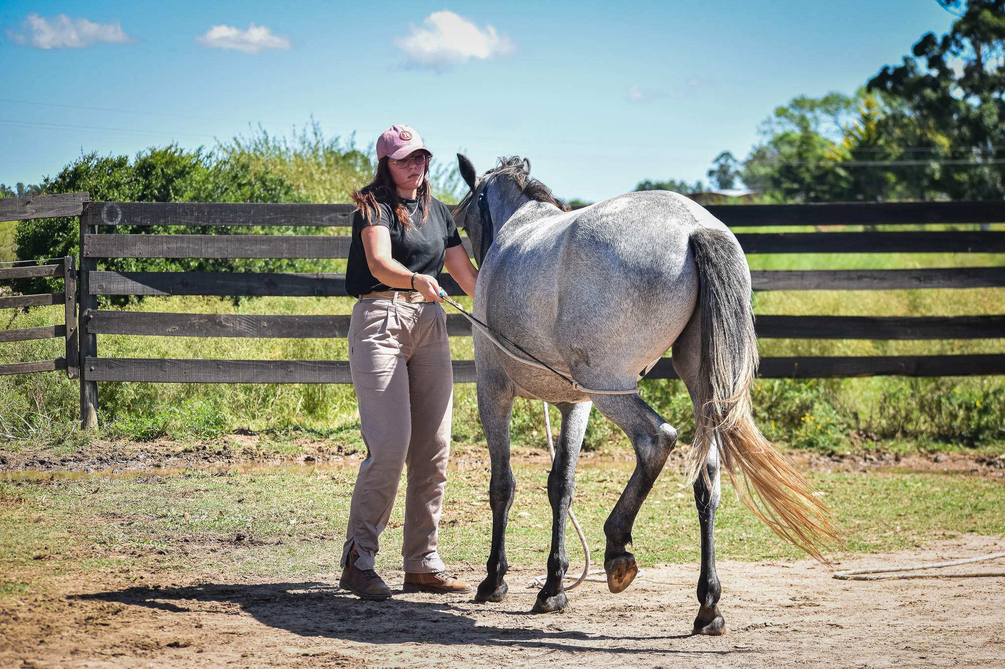 jinete en doma natural 2024
