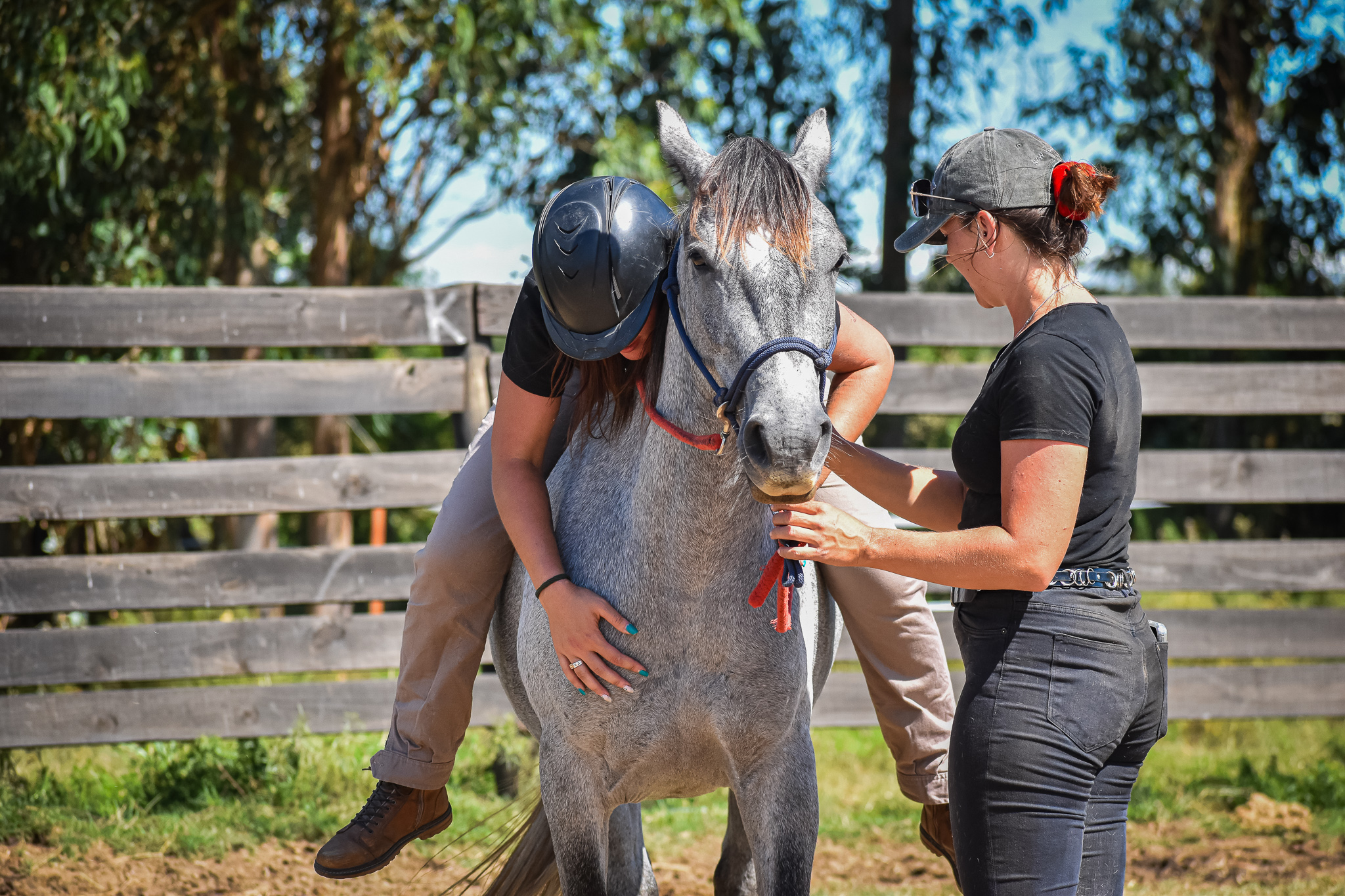iniciacion potro 2024 doma natural amura