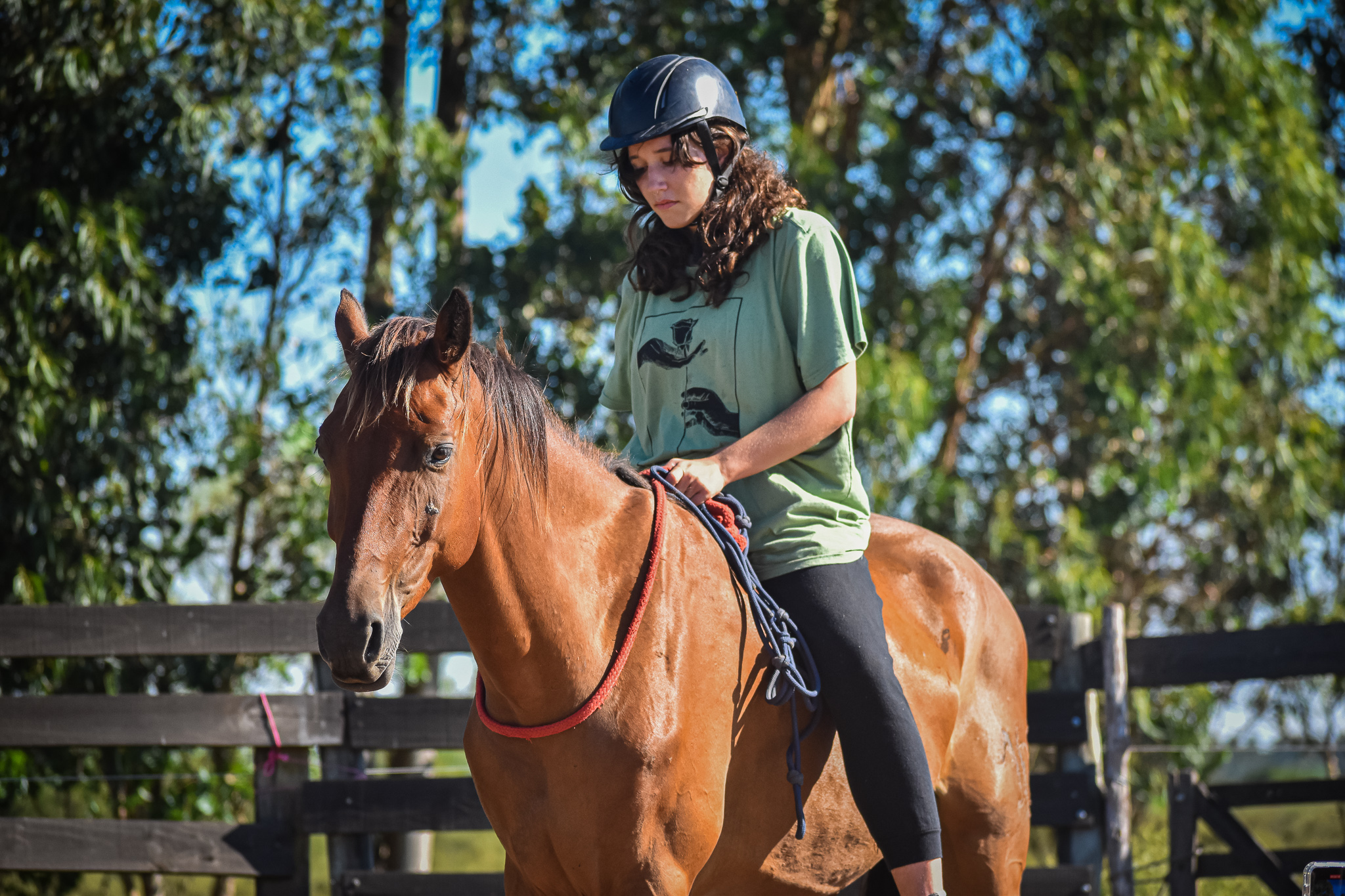 cursos de doma natural AMURA 2024