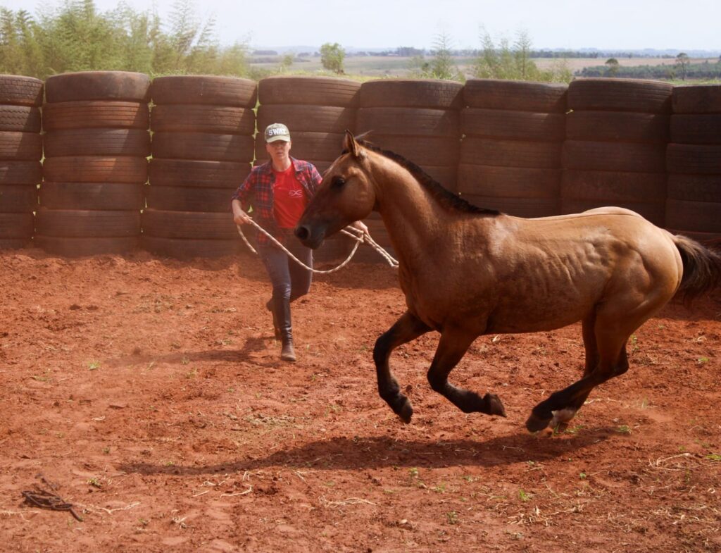 entrenamiento en libertad