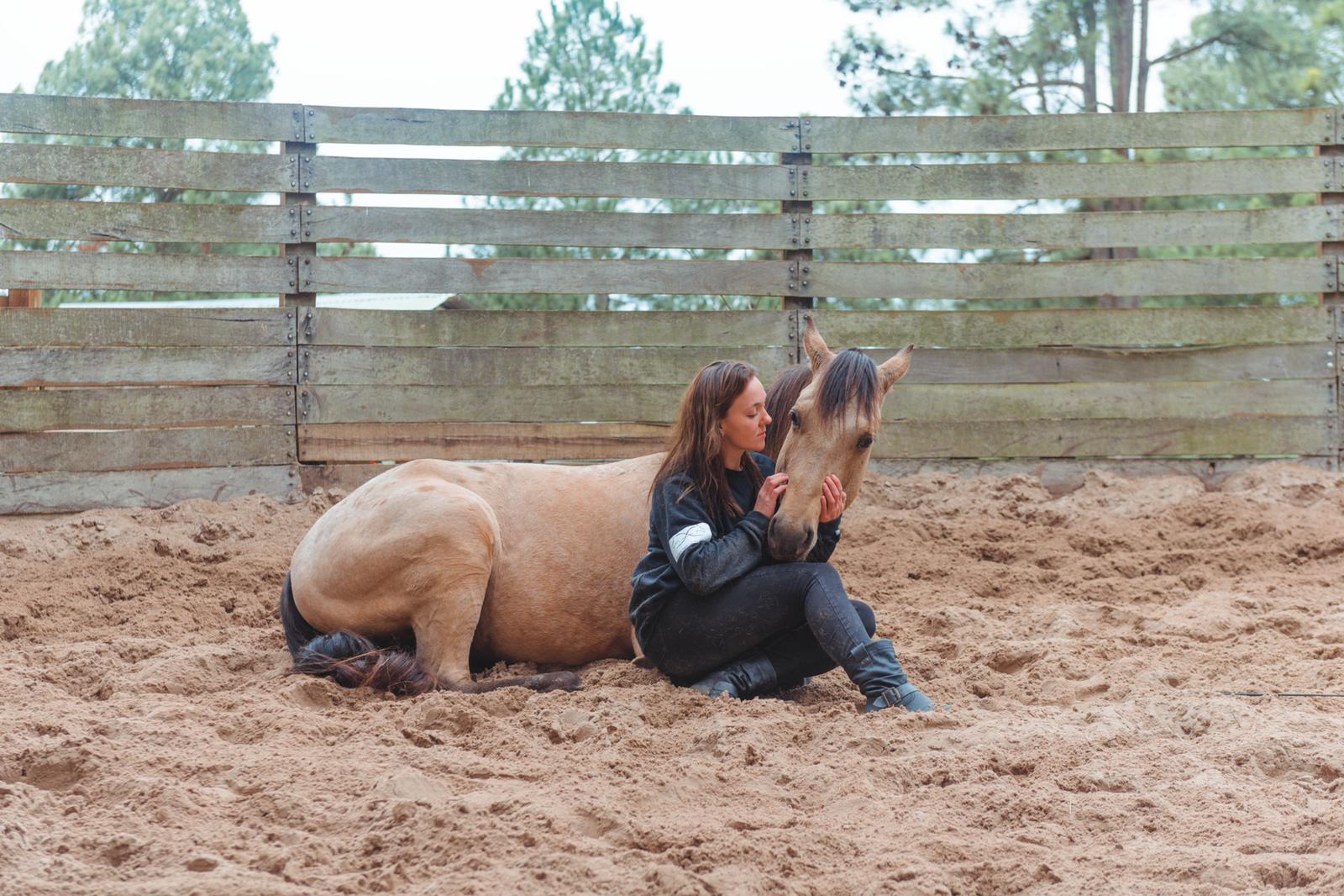 desensibilizar tu caballo