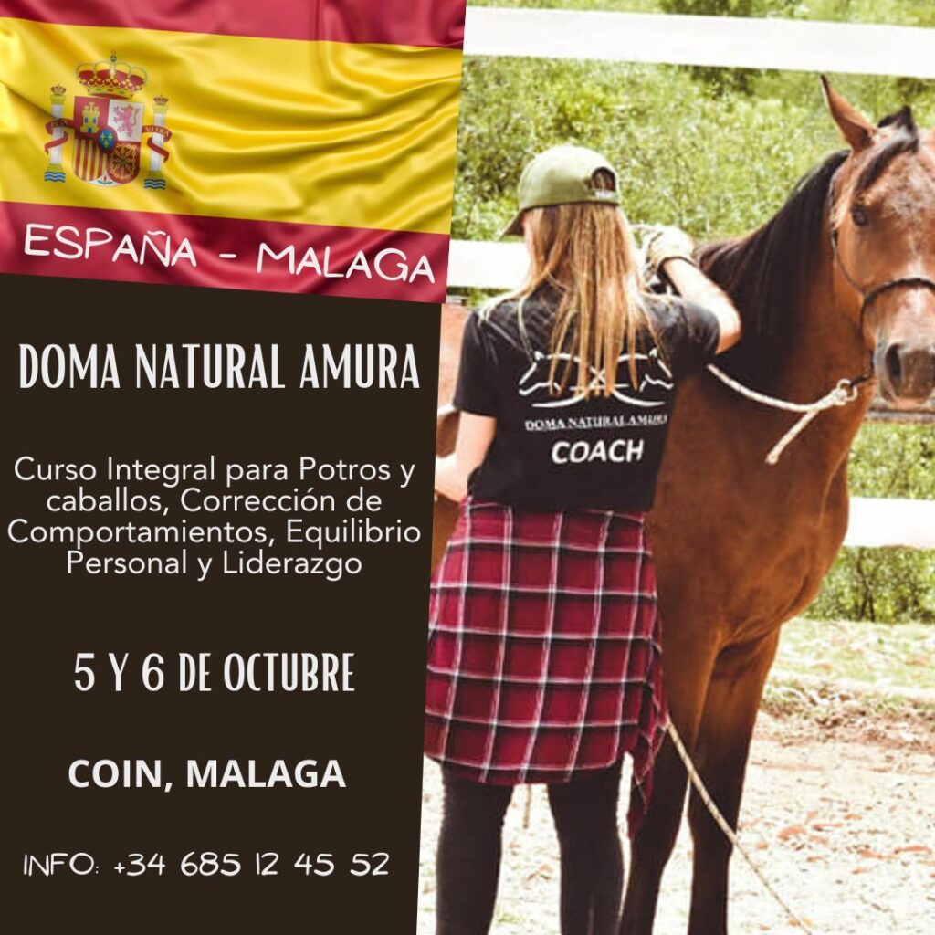 doma natural de caballos en malaga españa 2024