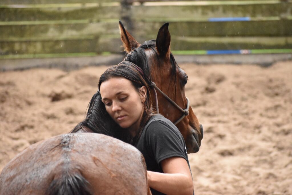 bienestar del equino alwina murawski