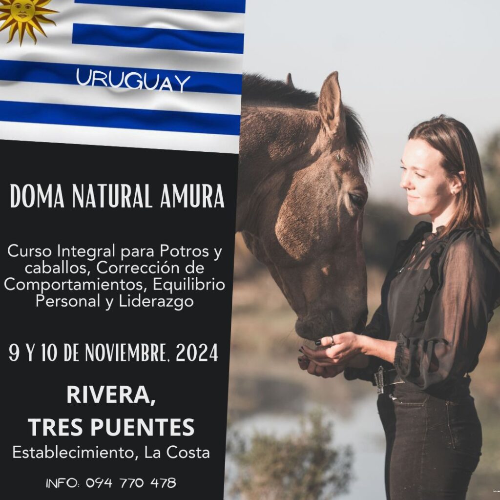 doma natural DE CABALLOS en Rivera URUGUAY 2024