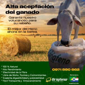 hibrapar paraguay