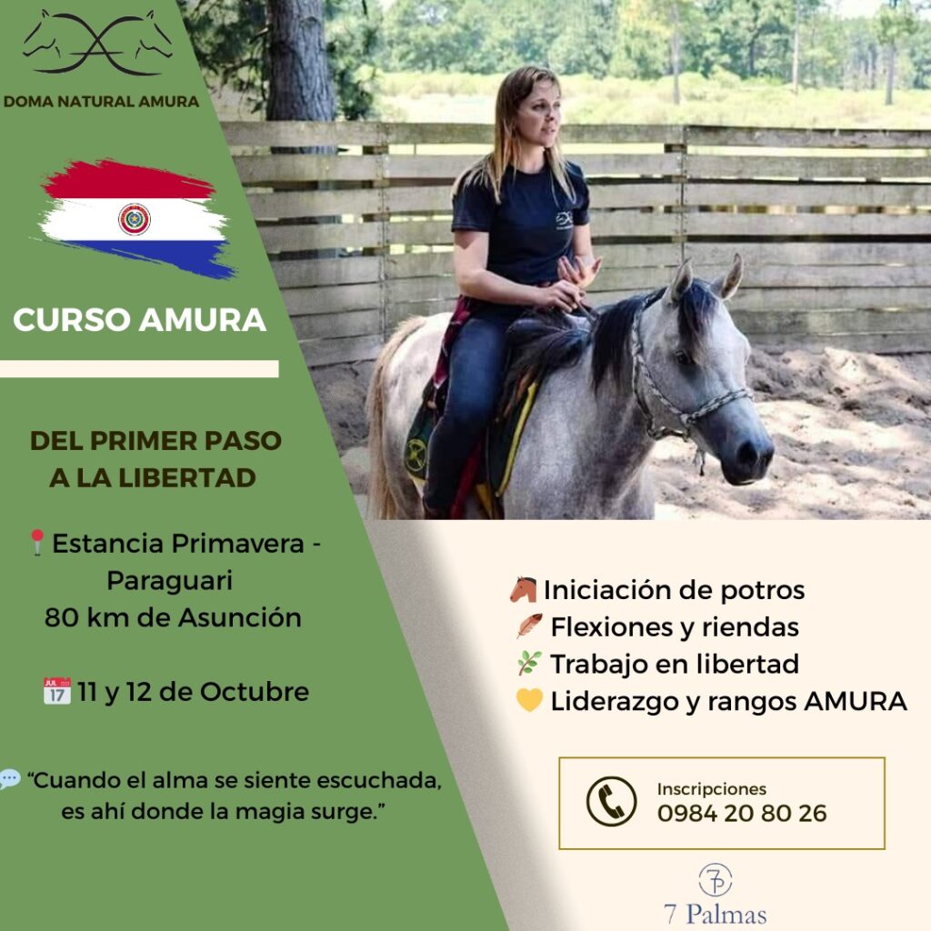 charla de doma natural en paraguay