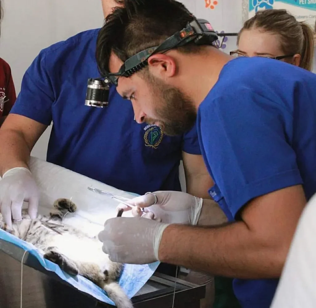 veterinario Diego Oliver de paraguay el que asistió a alwina murawski 