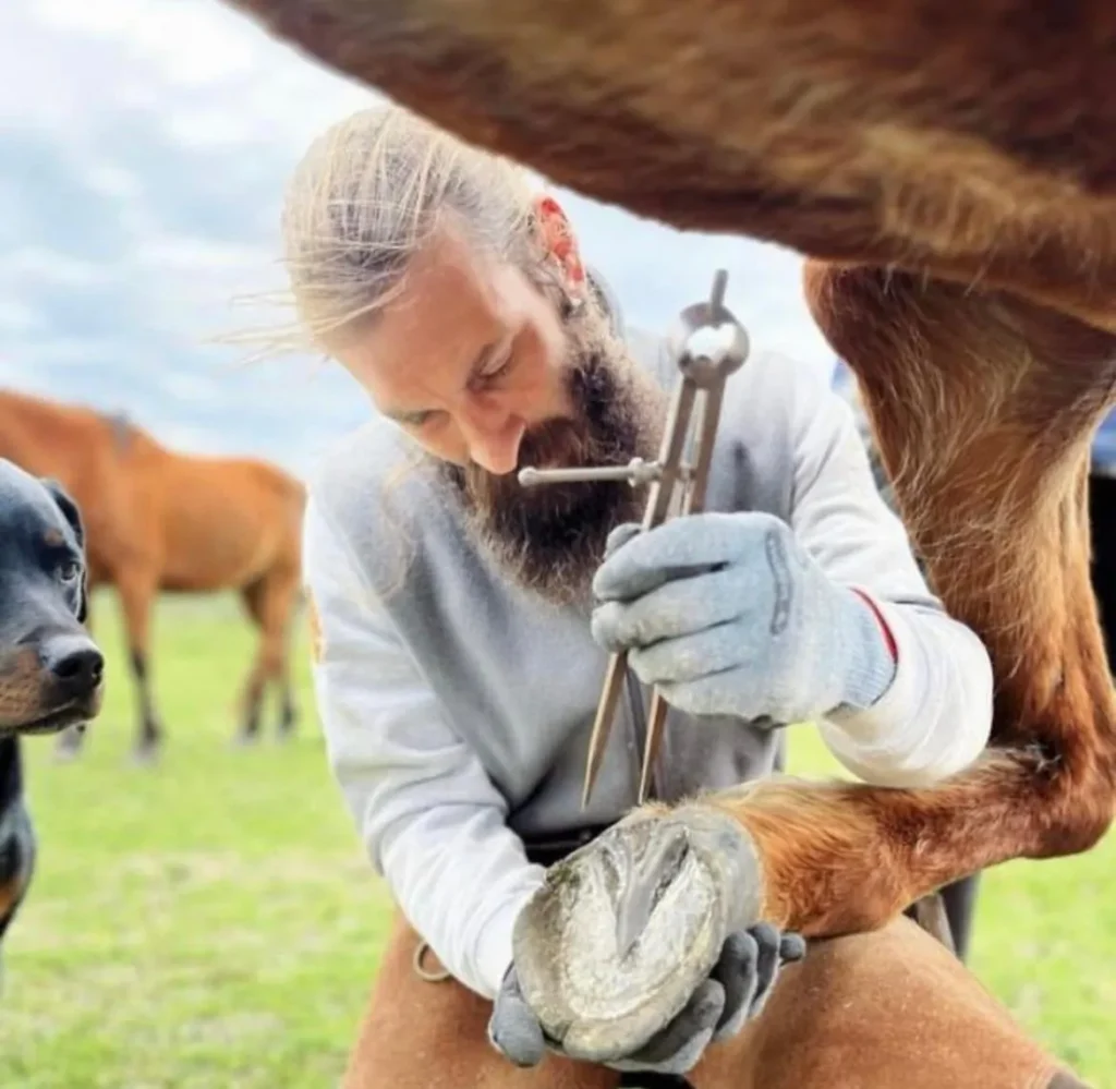 Santiago Suarez profesor amura de podologia equina