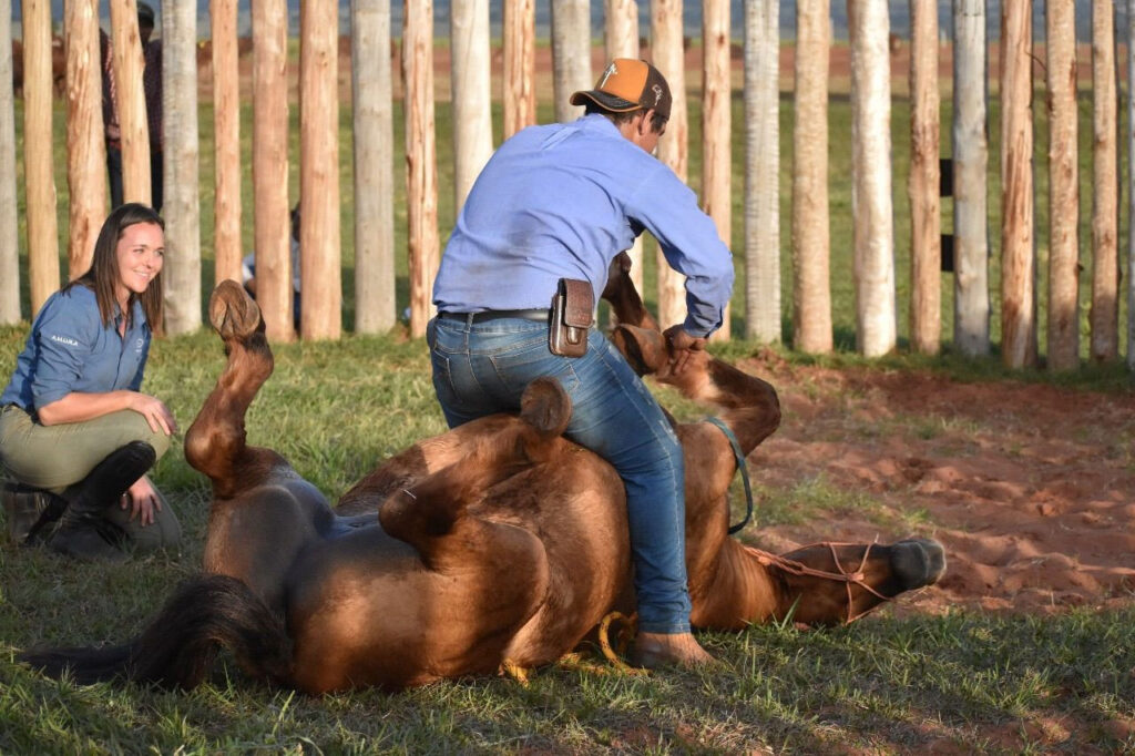 alumno de alwina murawski domadora profesional de caballos
