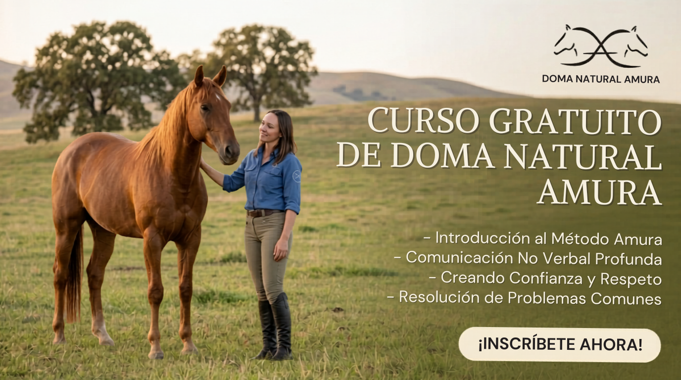 Primeros contactos con Potros – Técnicas seguras Curso gratis